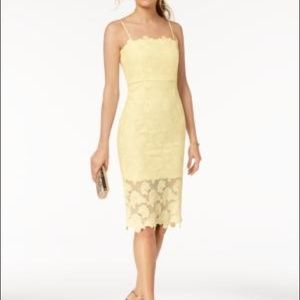 Bardot Sunshine lace Sheath Dress